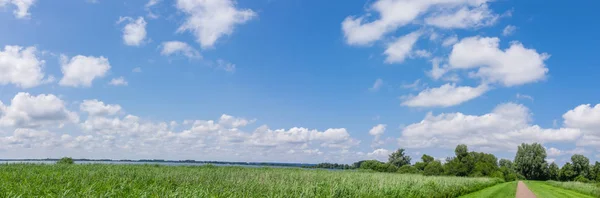 Campo verde bajo nubes azules cielo — Foto de Stock