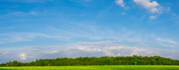 Campo verde bajo nubes azules cielo — Foto de Stock