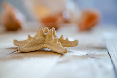 Deniz yıldızı seashell eski ahşap tahta üzerinde