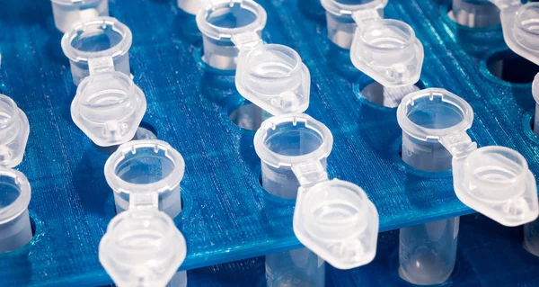 Pipetteer vloeistof toe te voegen aan een van verschillende reageerbuisjes .medical glaswerk — Stockfoto