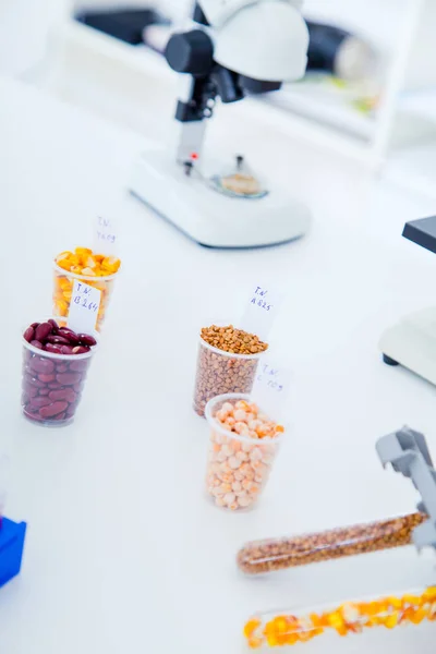 Laboratorio Químico de la Alimentación. Alimentos en laboratorio, ADN —  Fotos de Stock