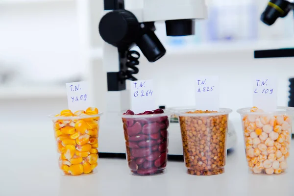 Laboratorio Químico de la Alimentación. Alimentos en laboratorio, ADN —  Fotos de Stock