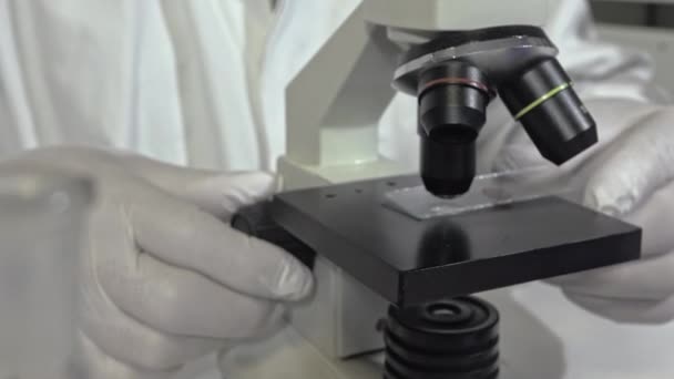 Forscher Arbeiten Labor Mit Mikroskop Nahaufnahme — Stockvideo