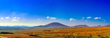 Montana Cardon - Fuerteventura İspanya..