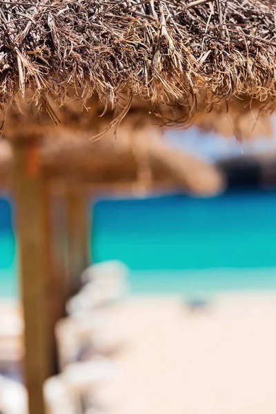 Соломенные Зонтики Кровати Песчаном Пляже — стоковое фото
