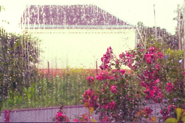 Regen auf Fenster 2 — Stockfoto