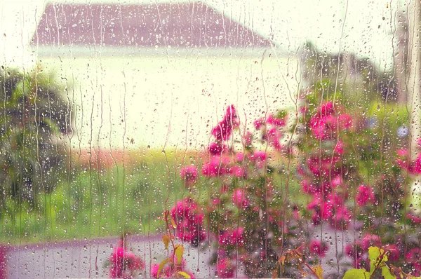 窓には雨します。 ロイヤリティフリーのストック写真