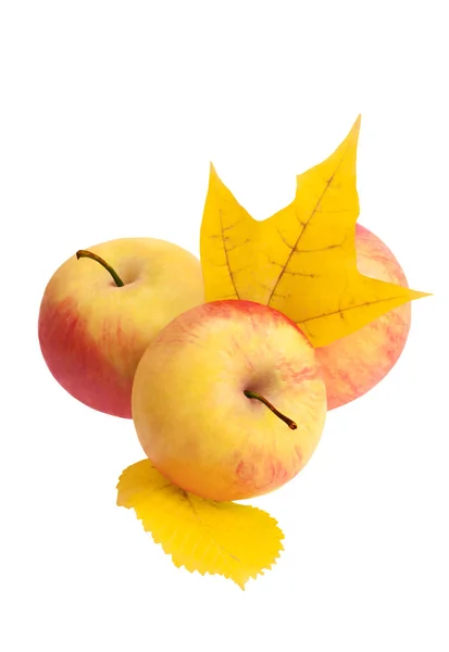 Üç elma sonbahar yaprakları ile. Beyaz arka plan üzerinde izole