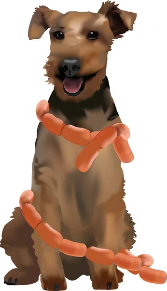 Собака Сидящая Колбасах — стоковый вектор