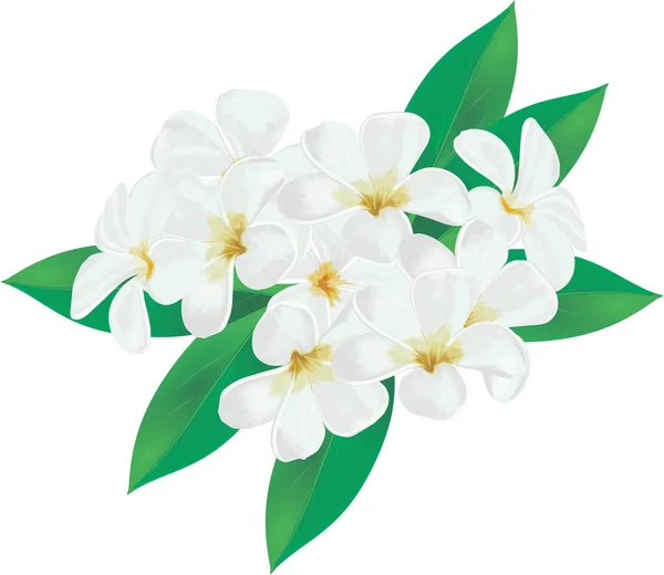 Bahar çiçek Çizim