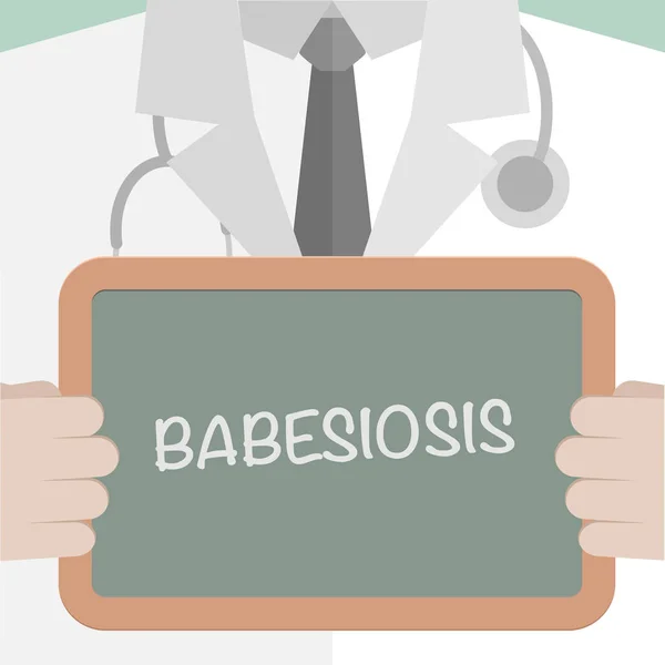 Consiglio medico Babesiosi — Vettoriale Stock