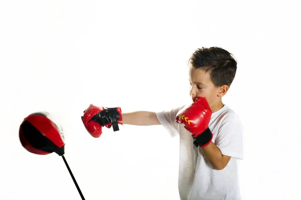 Boxing boy 5 years old — Stock Photo, Image