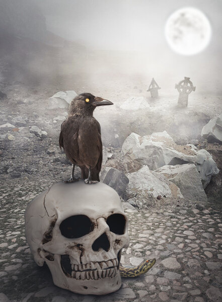 Halloween mystical landscape with skull and crow