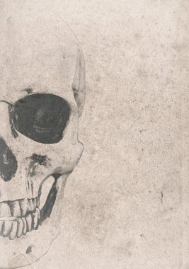 Cadılar Bayramı arka plan eski vintage gazete kafatasında ile