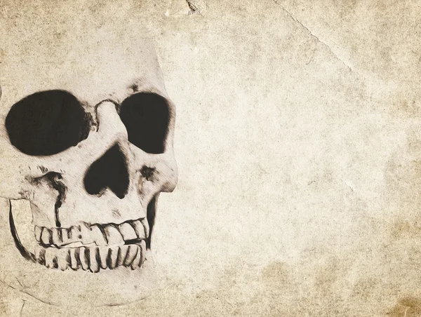 Fondo de Halloween con cráneo en papel viejo vintage — Foto de Stock
