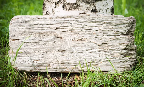 Maquette planche en bois vierge — Photo