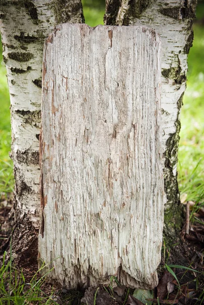 Изображение чистой деревянной доски — стоковое фото