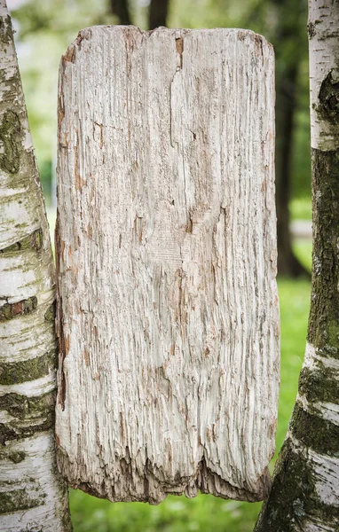 Falsificare bordo di legno bianco — Foto Stock