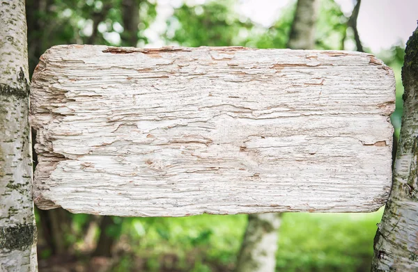 Maquette planche en bois vierge — Photo