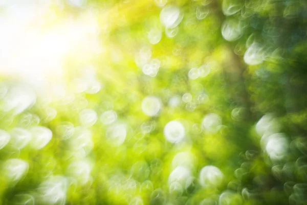 Abstrakte verschwommen Frühling Natur Bokeh Hintergrund — Stockfoto