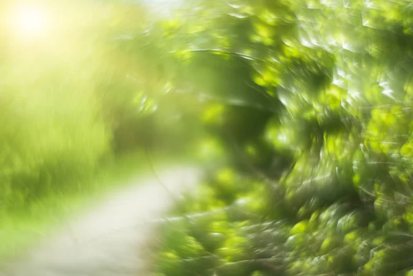 Abstrakte verschwommene Natur Hintergrund — Stockfoto