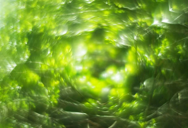 Abstrakte verschwommen Frühling Natur Bokeh Hintergrund — Stockfoto