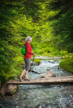 Kadın hiker ormanda yürüyüş sopa ile. Turizm kavramı