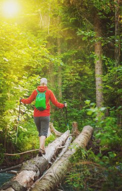 Kadın hiker ormanda yürüyüş sopa ile. Turizm kavramı