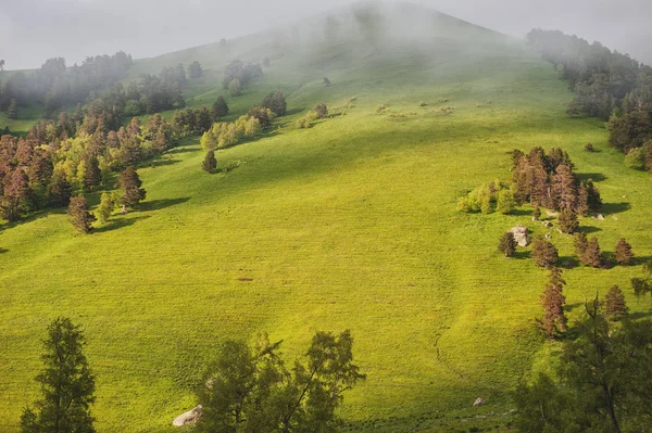 Красивый пейзаж с луговой долиной и облаками — Бесплатное стоковое фото