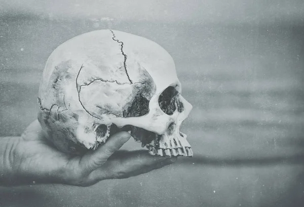 Mano humana sosteniendo el cráneo. Fondo de Halloween — Foto de Stock