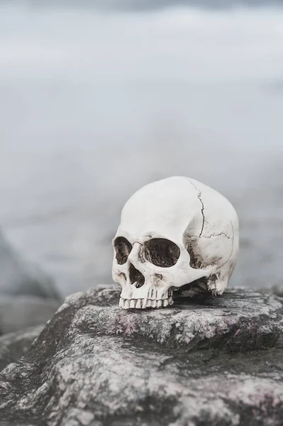 Teschio umano sulla pietra. Halloween sfondo — Foto Stock