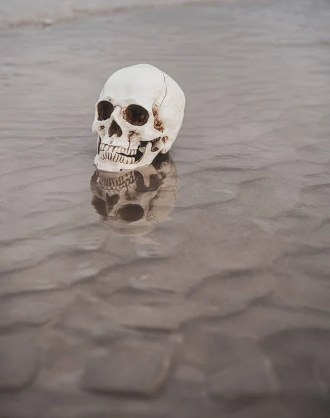 Ανθρώπινο κρανίο πάνω στην άμμο. Απόκριες φόντο — Φωτογραφία Αρχείου