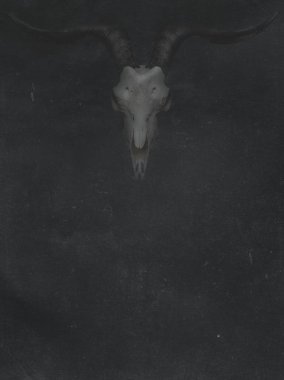 Keçi kafatası koyu arka plan üzerinde. Cadılar Bayramı grunge afiş