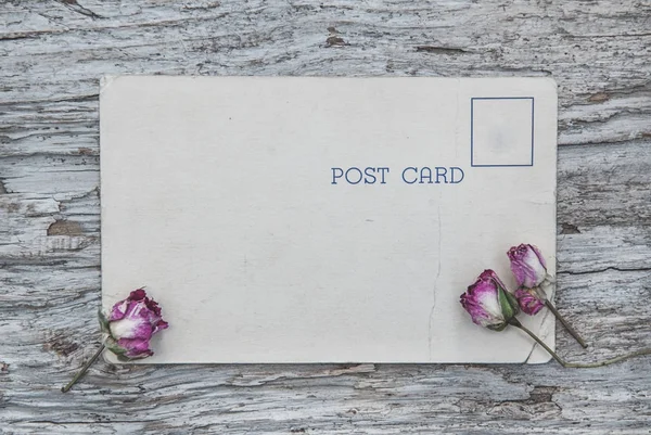 Cartão postal vintage e rosas de chá seco na madeira velha — Fotografia de Stock