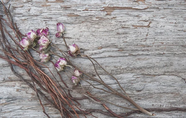 Kuru güller ve dalları ile antika arka plan — Stok fotoğraf