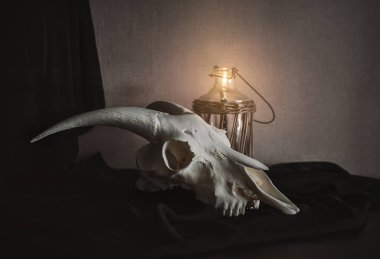 Natürmort ram kafatası ve eski şişe ve mum kara günü