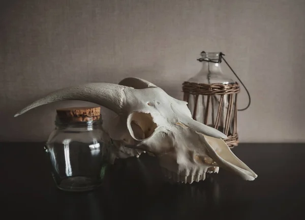 Natureza morta com crânio de carneiro e garrafa velha no escuro — Fotografia de Stock
