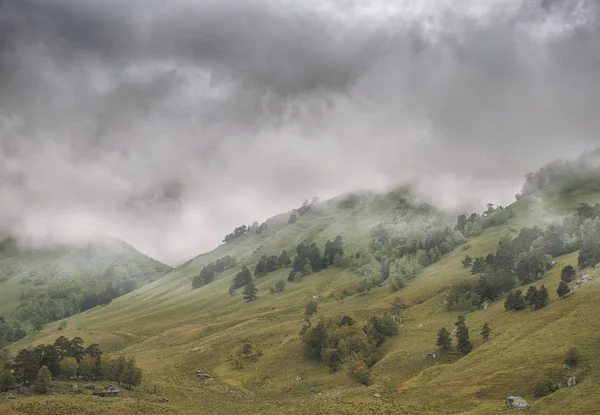 Schöne neblige Landschaft mit Wiesental und Wolken — Stockfoto