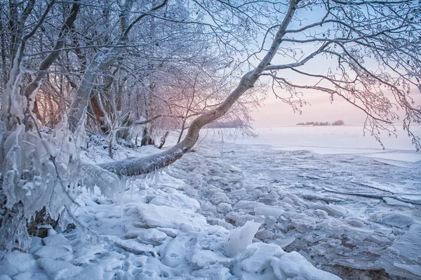 Kall vinterlandskap med snö, is och träd — Stockfoto