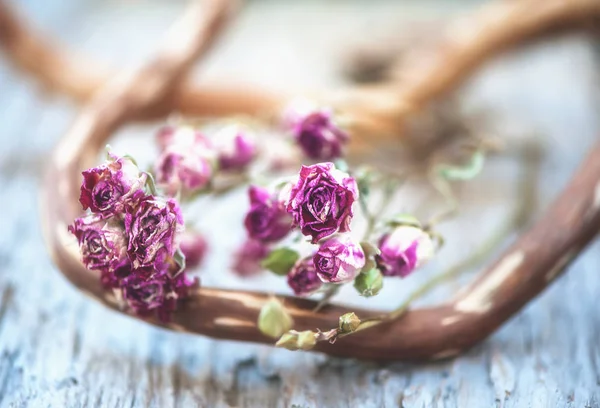 Vintage background with dry tea roses — Stock Photo, Image