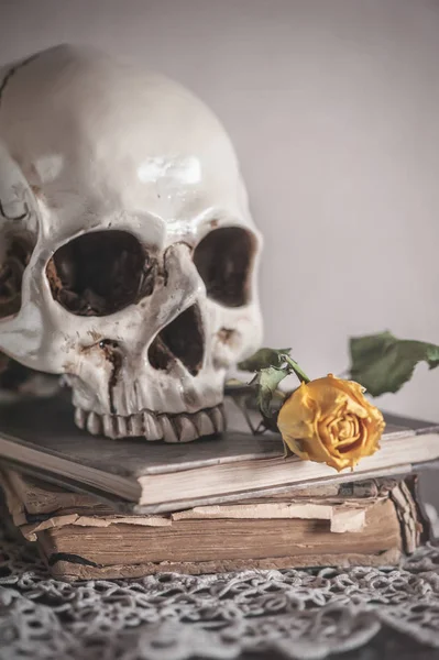 Νεκρή φύση με τα ξηρά τριαντάφυλλα και κρανίου σε παλιά vintage βιβλίο — Φωτογραφία Αρχείου