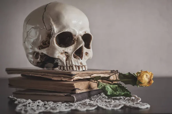 Natura morta con rose secche e teschio su libro e merletto vintage — Foto Stock