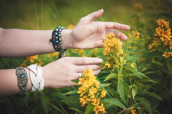 Mulher mãos tocando flores prado selvagem — Fotografia de Stock