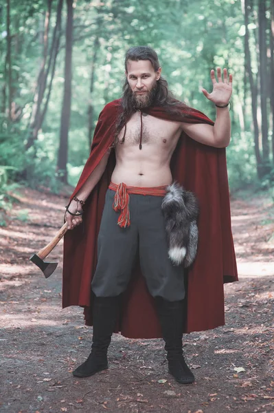 Vikingský voják s železnou sekerou — Stock fotografie