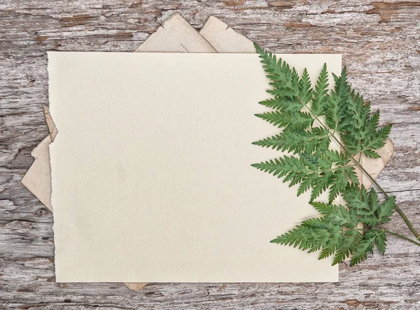Starý retro papírový list na vinobraní rustikální dřevěné desky s dr — Stock fotografie