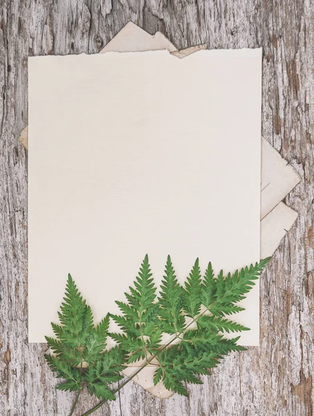 Vieille feuille de papier rétro sur le panneau rustique vintage en bois avec dr — Photo