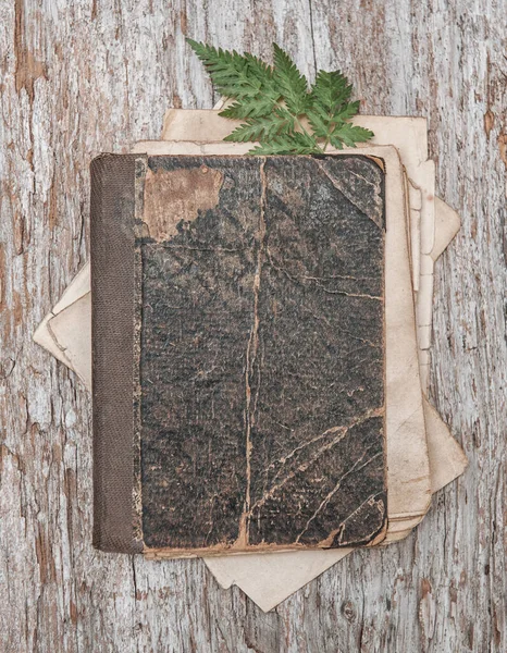 Starý Retro Obal Knihy Suchým Rostlinou Ošlehaném Vinobraní Rustikální Dřevěné — Stock fotografie