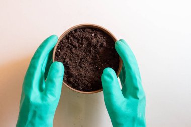 Elin işleyişi saksıya bitki yerleştirir. Eldivenli eller toprağa tohum eker.