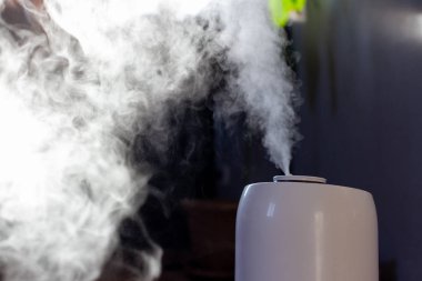 steam from humidifier in a home interior in sunlight