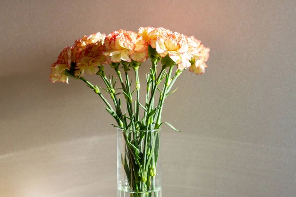 Still life bouquet of carnations flowers in a glass vase — Stock Photo, Image